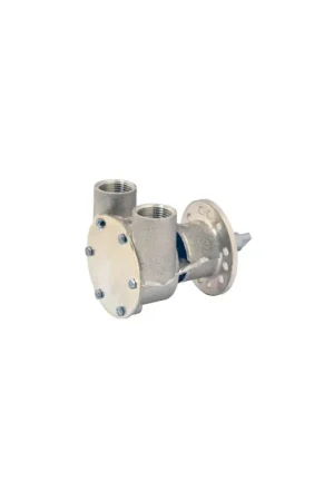 Ultimissimo Modello Johnson Pumps F5B-9 bronzo, pompa raffreddamento 3/4" motori Nanni Beta WM