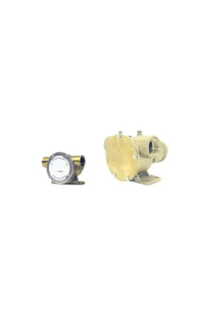 Compra Adesso Johnson pompa a girante serie F7B in bronzo con girante in neoprene