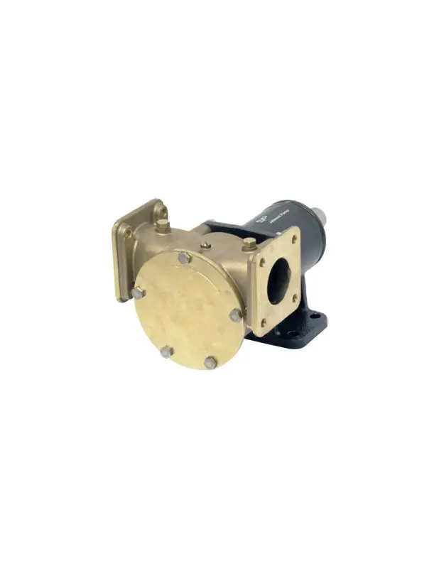 Johnson pompa a girante Extra Heavy Duty serie FB-3000 VF Ultima Occasione
