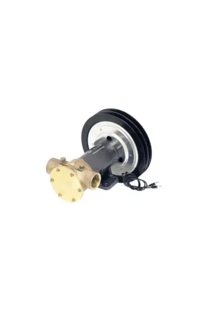 Johnson Pumps pompa con frizione magnetica serie F7B per impianti nautici Affare