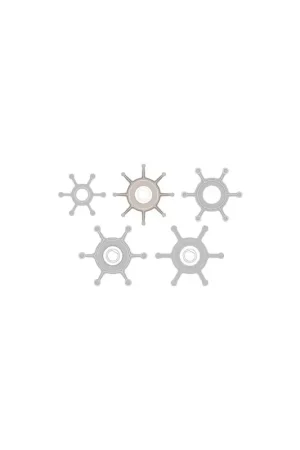 Compra Adesso Johnson Pumps giranti di ricambio per pompe serie F2-F4 in Neoprene e Nitrile