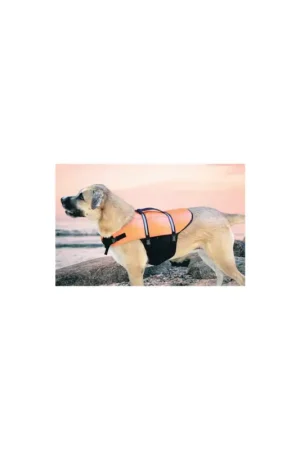 Must-Have Cintura di salvataggio per cani e gatti con maniglia di sollevamento