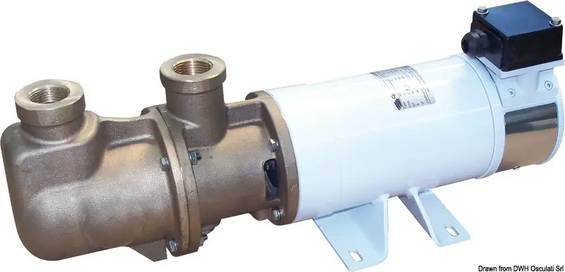 Economico Elettropompa autoadescante monovite in bronzo 24V