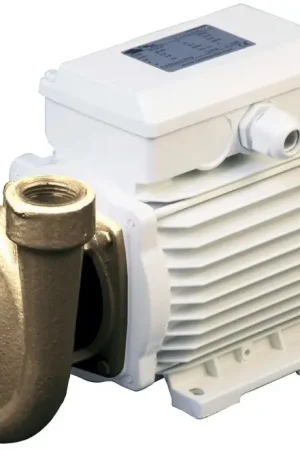 Professionale Elettropompa centrifuga bronzo 40 lt/min 230V