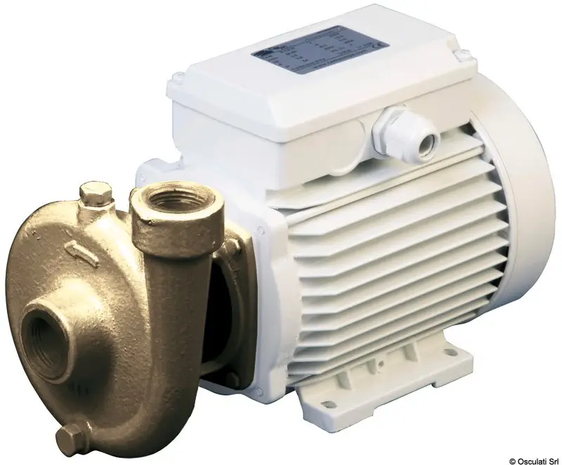 Professionale Elettropompa centrifuga bronzo 40 lt/min 230V