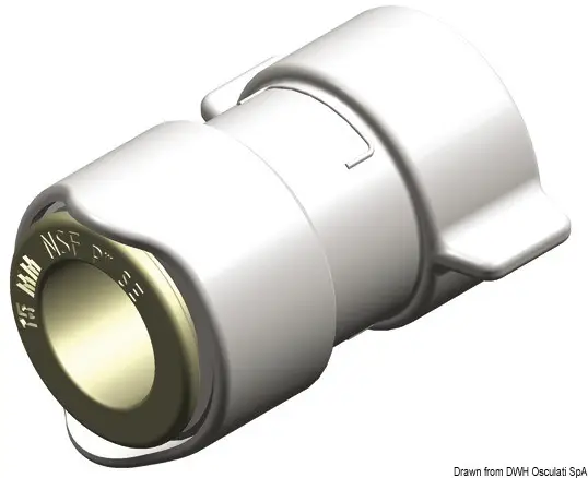 Offerta Limitata Adattatore 1/2" BSP femmina Whale